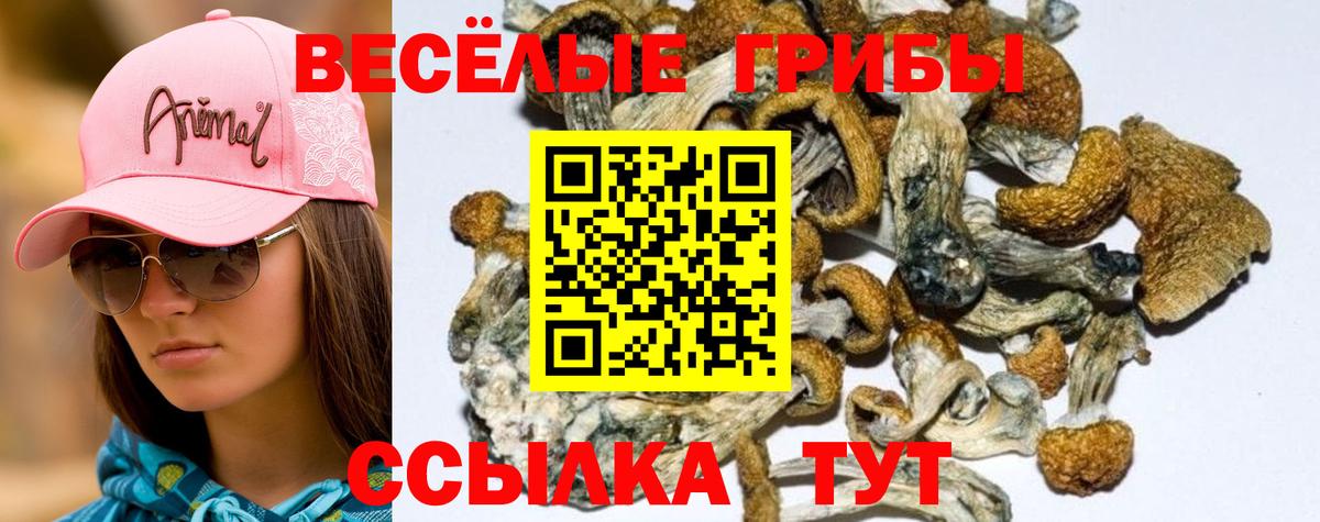 Галлюциногенные грибы GOLDEN TEACHER Севастополь