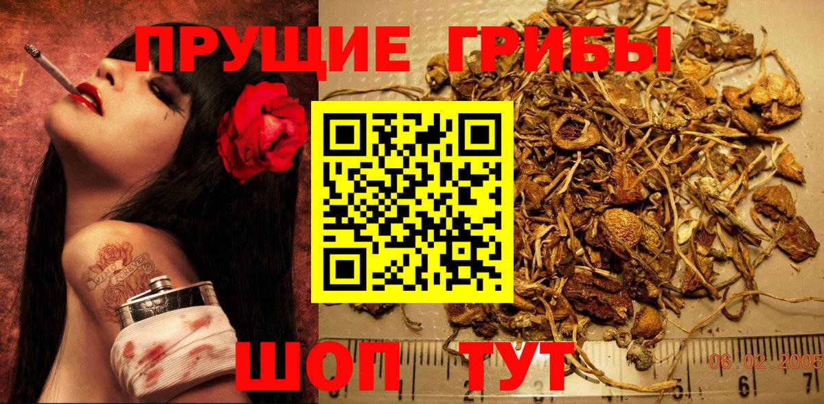 Псилоцибиновые грибы прущие грибы  Вход с VPN  Севастополь  Галлюциногенные грибы Psilocybe 